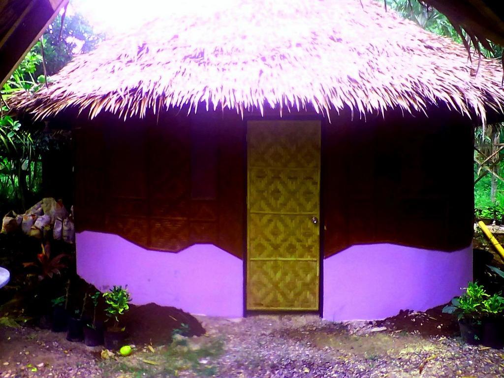 Lennon'S Place Backpacker Hostel Panglao Exterior foto